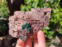 Natural Salrose Cobaltion Dolomite with Chrysocolla , Malachite , Heterogenite & Kaolinite Specimens x 12 From Kakanda, Congo