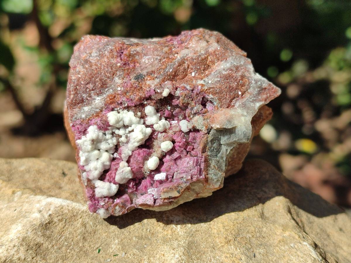 Natural Salrose Cobaltion Dolomite with Chrysocolla , Malachite , Heterogenite & Kaolinite Specimens x 12 From Kakanda, Congo - Toprock Gemstones and Minerals 