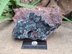 Natural Drusy Coated Ball Malachite On Dolomite Specimen x 1 From Lupoto Mine, Congo - Toprock Gemstones and Minerals 