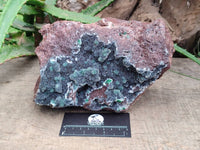 Natural Drusy Coated Ball Malachite On Dolomite Specimen x 1 From Lupoto Mine, Congo
