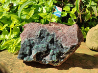 Natural Drusy Coated Ball Malachite On Dolomite Specimen x 1 From Lupoto Mine, Congo