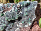 Natural Drusy Coated Ball Malachite On Dolomite Specimen x 1 From Lupoto Mine, Congo - Toprock Gemstones and Minerals 