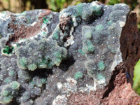 Natural Drusy Coated Ball Malachite On Dolomite Specimen x 1 From Lupoto Mine, Congo