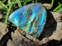 Polished Labradorite Standing Free Forms x 3 From Tulear, Madagascar