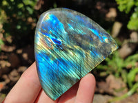 Polished Labradorite Standing Free Forms x 3 From Tulear, Madagascar