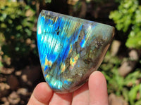 Polished Labradorite Standing Free Forms x 3 From Tulear, Madagascar