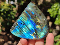 Polished Labradorite Standing Free Forms x 3 From Tulear, Madagascar