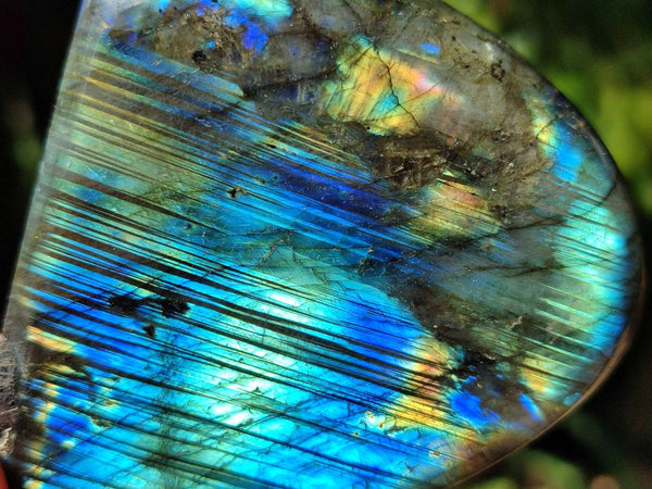 Polished Labradorite Standing Free Forms x 3 From Tulear, Madagascar