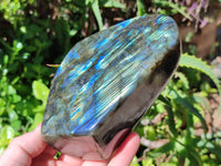 Polished Labradorite Standing Free Forms x 3 From Tulear, Madagascar