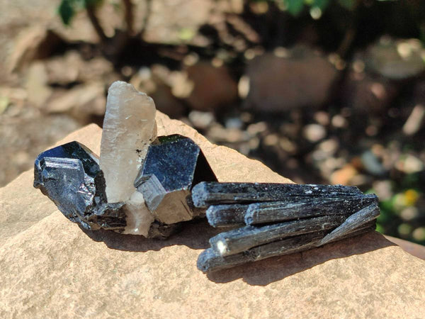 Natural Schorl Black Tourmaline with Smokey Quartz x 12 From Erongo, Namibia