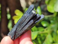Natural Schorl Black Tourmaline with Smokey Quartz x 12 From Erongo, Namibia