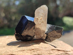 Natural Schorl Black Tourmaline with Smokey Quartz x 12 From Erongo, Namibia - Toprock Gemstones and Minerals 