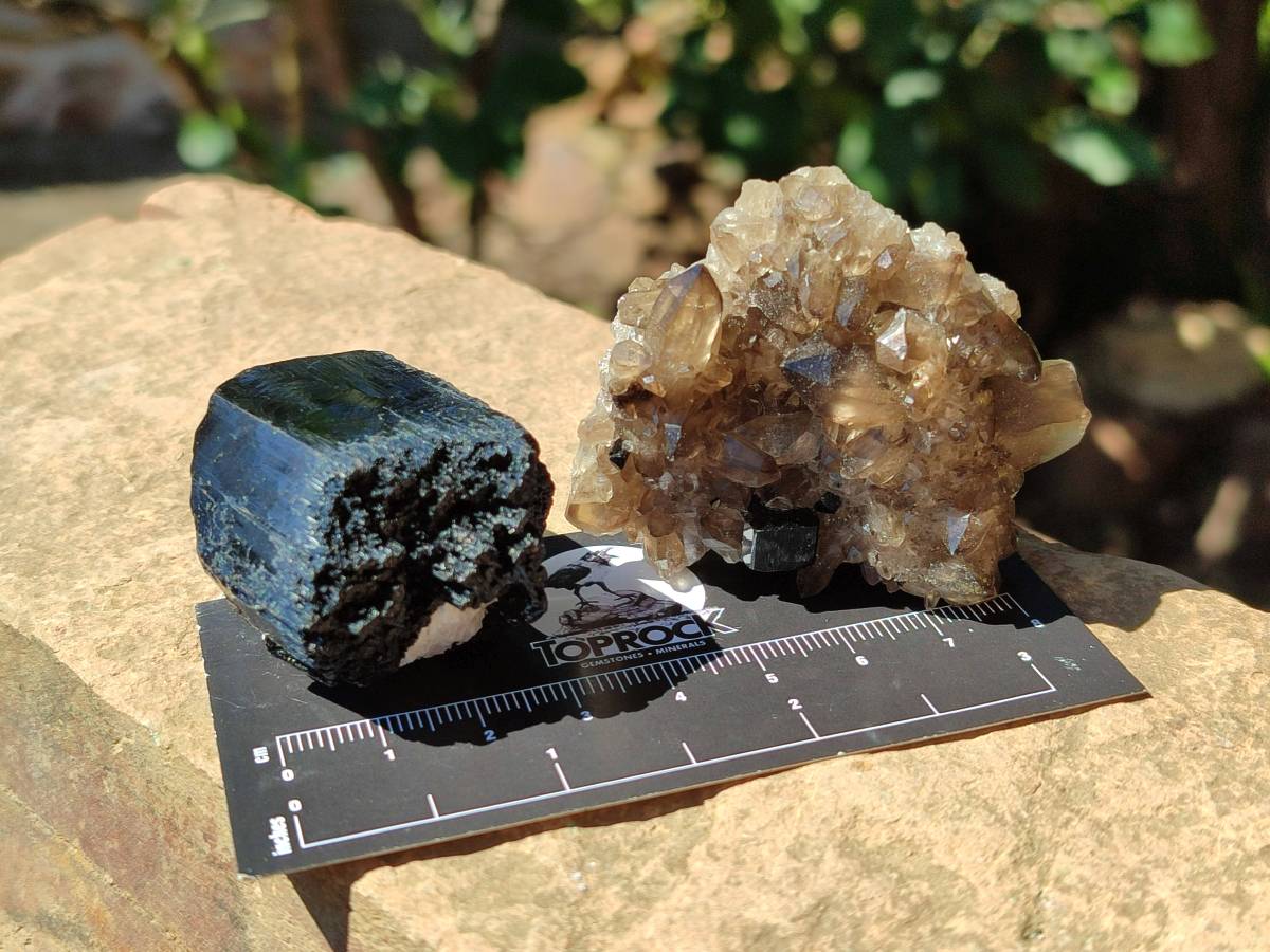 Natural Schorl Black Tourmaline with Smokey Quartz x 12 From Erongo, Namibia - Toprock Gemstones and Minerals 