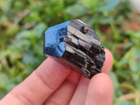 Natural Schorl Black Tourmaline with Smokey Quartz x 12 From Erongo, Namibia