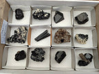 Natural Schorl Black Tourmaline with Smokey Quartz x 12 From Erongo, Namibia - Toprock Gemstones and Minerals 