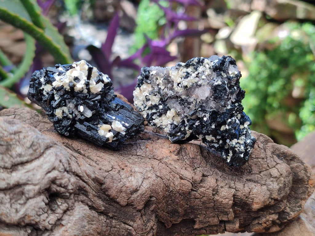 Natural Schorl Black Tourmaline with Smokey Quartz x 12 From Erongo, Namibia - Toprock Gemstones and Minerals 