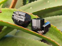 Natural Schorl Black Tourmaline with Smokey Quartz x 12 From Erongo, Namibia