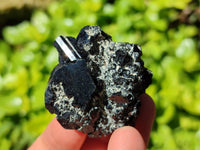 Natural Schorl Black Tourmaline with Smokey Quartz x 12 From Erongo, Namibia