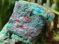 Natural Shattuckite, Malachite, Cuprite, Bornite, Chalcocite  Specimens x 3 From Kaokoveld, Namibia