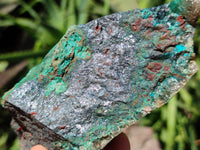 Natural Shattuckite, Malachite, Cuprite, Bornite, Chalcocite  Specimens x 3 From Kaokoveld, Namibia