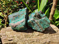 Natural Shattuckite, Malachite, Cuprite, Bornite, Chalcocite  Specimens x 3 From Kaokoveld, Namibia