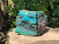 Natural Shattuckite, Malachite, Cuprite, Bornite, Chalcocite  Specimens x 3 From Kaokoveld, Namibia