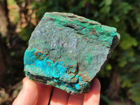 Natural Shattuckite, Malachite, Cuprite, Bornite, Chalcocite  Specimens x 3 From Kaokoveld, Namibia