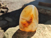 Polished Mixed Selected Agate Standing Free Forms x 4 From Madagascar