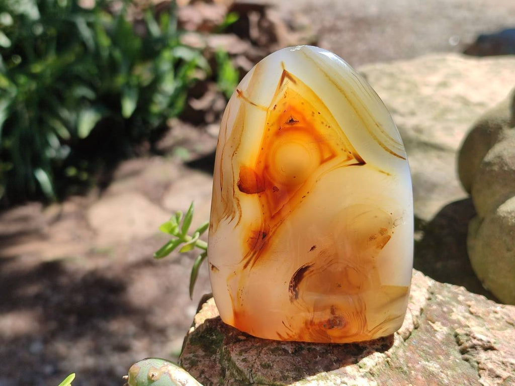 Polished Mixed Selected Agate Standing Free Forms x 4 From Madagascar - Toprock Gemstones and Minerals 