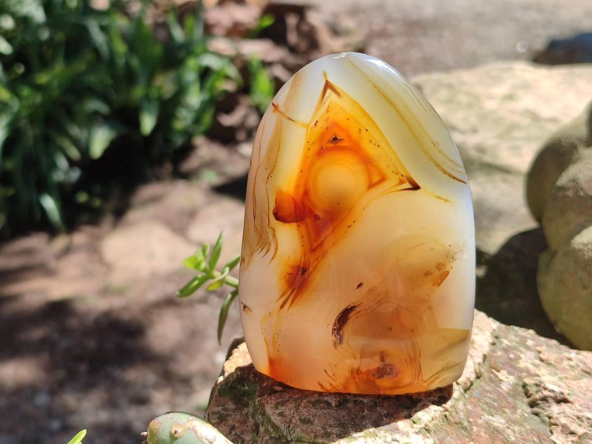Polished Mixed Selected Agate Standing Free Forms x 4 From Madagascar - Toprock Gemstones and Minerals 