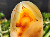 Polished Mixed Selected Agate Standing Free Forms x 4 From Madagascar