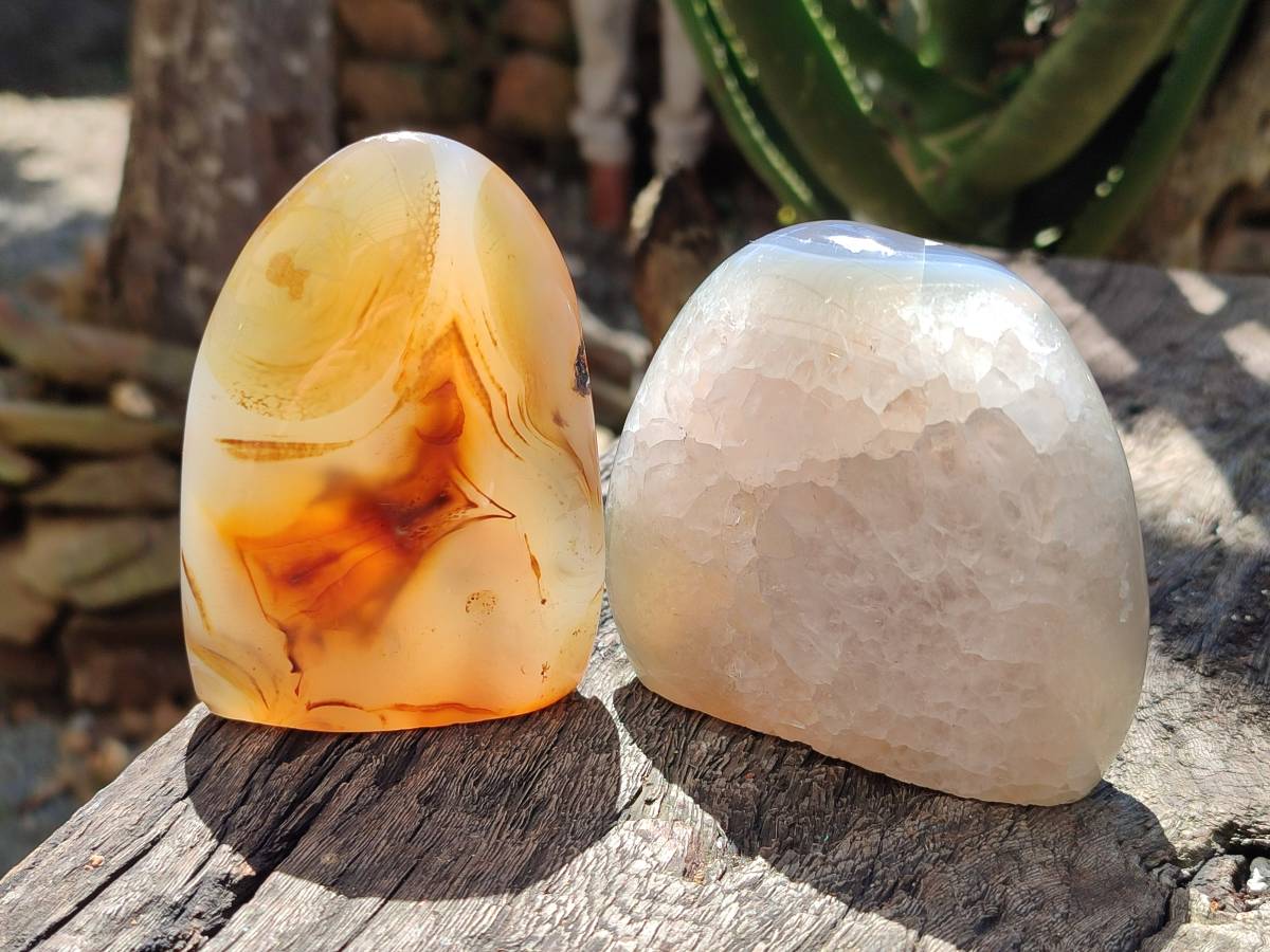 Polished Mixed Selected Agate Standing Free Forms x 4 From Madagascar - Toprock Gemstones and Minerals 