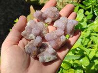Natural Small Amethyst Spirit Quartz Clusters x 20 From Boekenhouthoek, South Africa