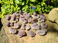 Natural Small Amethyst Spirit Quartz Clusters x 20 From Boekenhouthoek, South Africa