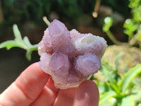 Natural Small Amethyst Spirit Quartz Clusters x 20 From Boekenhouthoek, South Africa