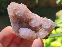 Natural Small Amethyst Spirit Quartz Clusters x 20 From Boekenhouthoek, South Africa