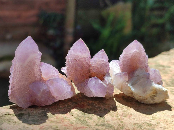 Natural Small Amethyst Spirit Quartz Clusters x 20 From Boekenhouthoek, South Africa