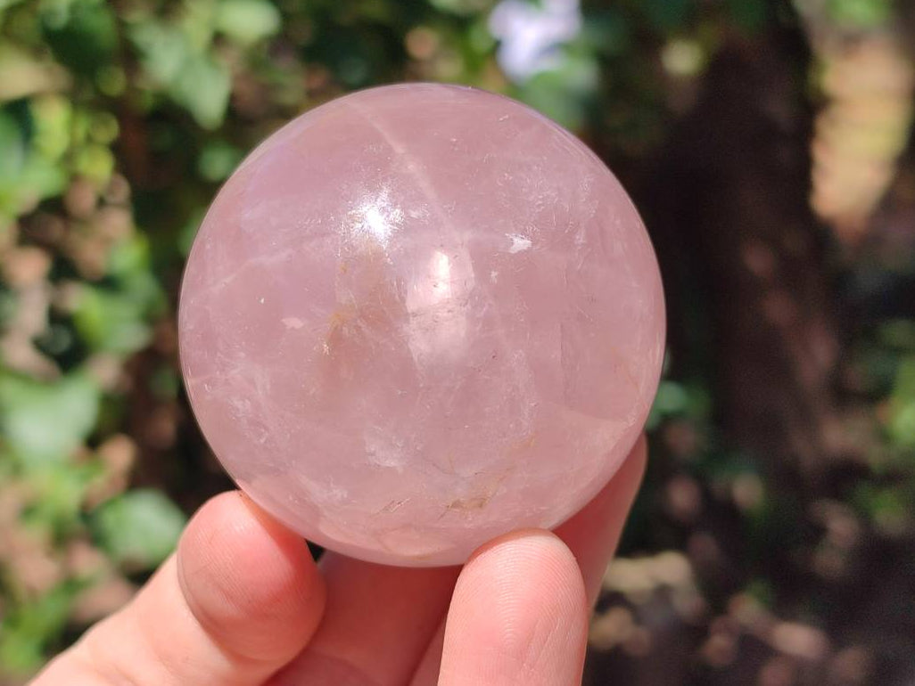 Polished Star Rose Quartz Spheres x 6 From Madagascar - Toprock Gemstones and Minerals 