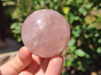 Polished Star Rose Quartz Spheres x 6 From Madagascar
