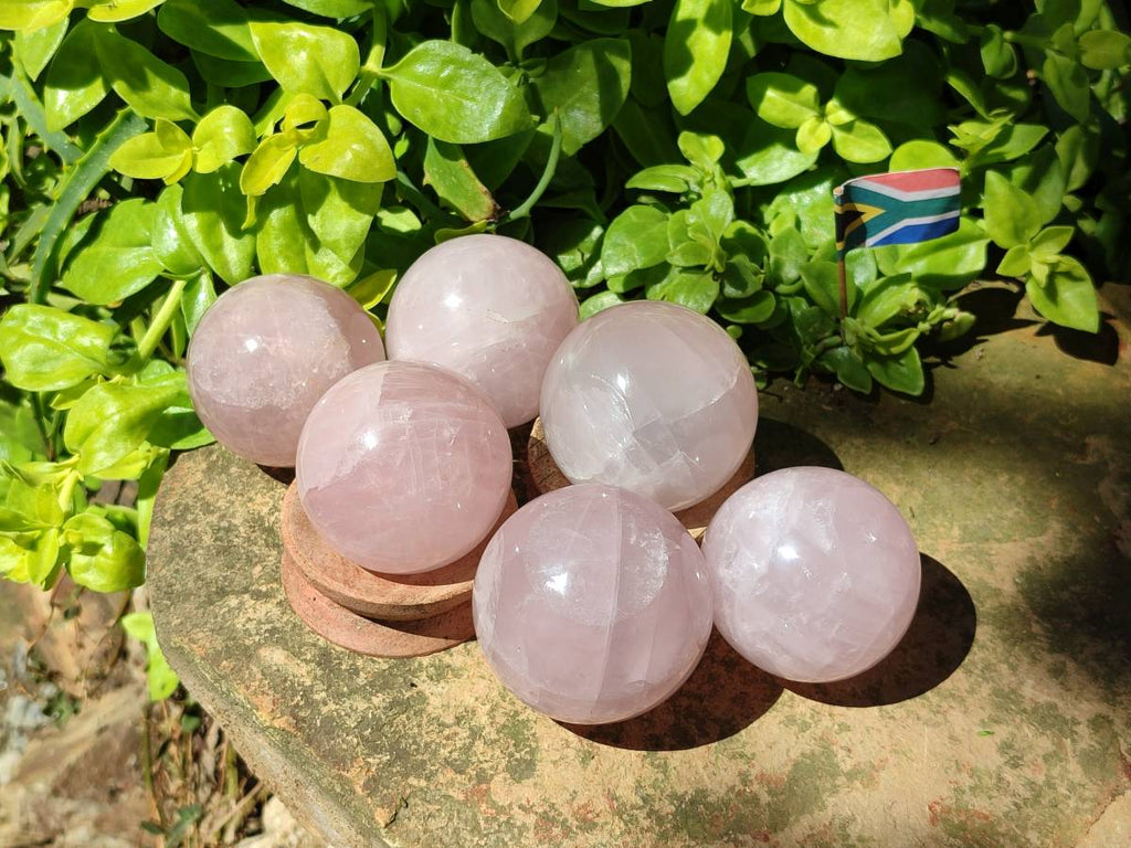 Polished Star Rose Quartz Spheres x 6 From Madagascar - Toprock Gemstones and Minerals 