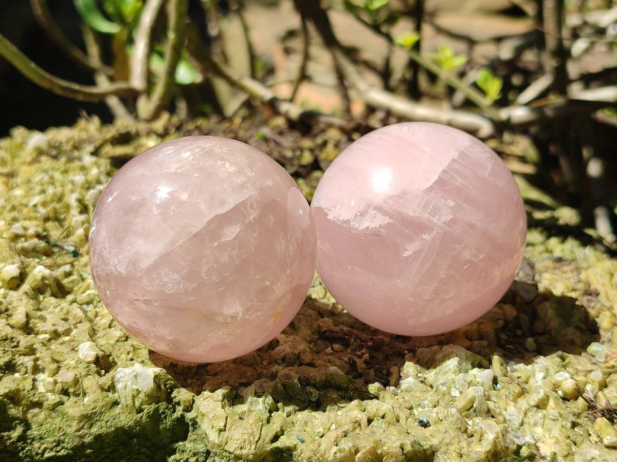 Polished Star Rose Quartz Spheres x 6 From Madagascar - Toprock Gemstones and Minerals 