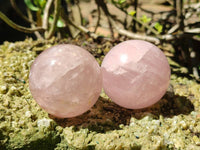 Polished Star Rose Quartz Spheres x 6 From Madagascar