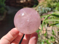 Polished Star Rose Quartz Spheres x 6 From Madagascar