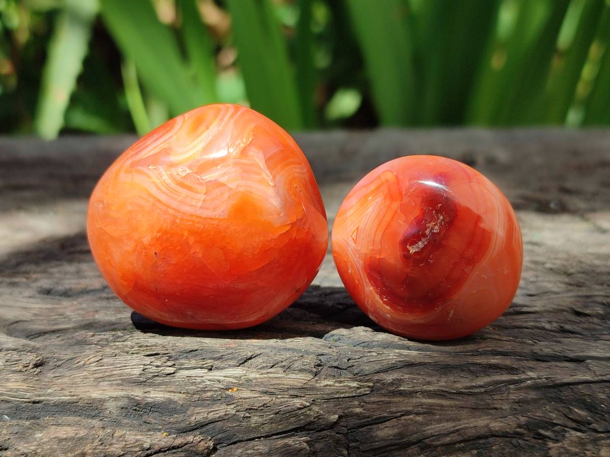 Polished Carnelian Agate Gemstone Galets x 43 From Madagascar - Toprock Gemstones and Minerals 