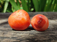 Polished Carnelian Agate Gemstone Galets x 43 From Madagascar
