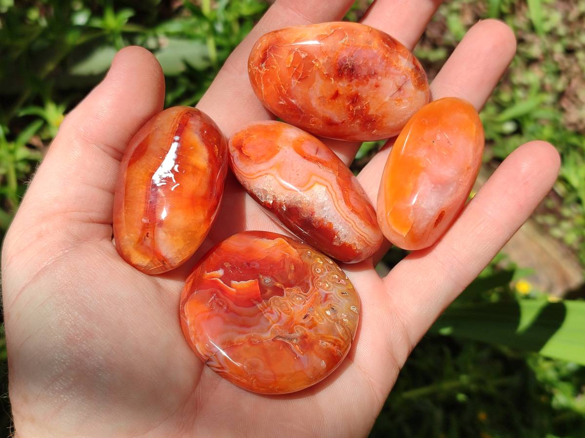 Polished Carnelian Agate Gemstone Galets x 43 From Madagascar - Toprock Gemstones and Minerals 