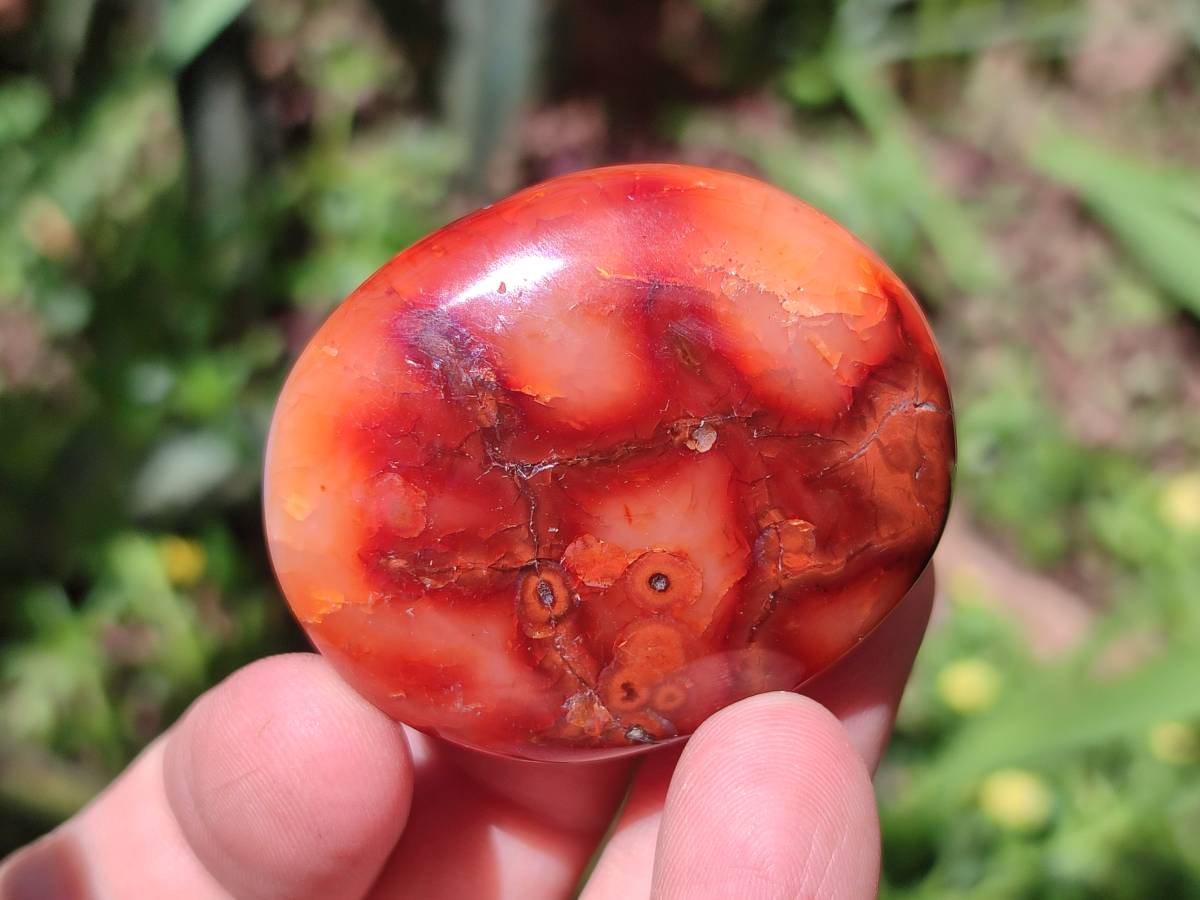 Polished Carnelian Agate Gemstone Galets x 43 From Madagascar - Toprock Gemstones and Minerals 