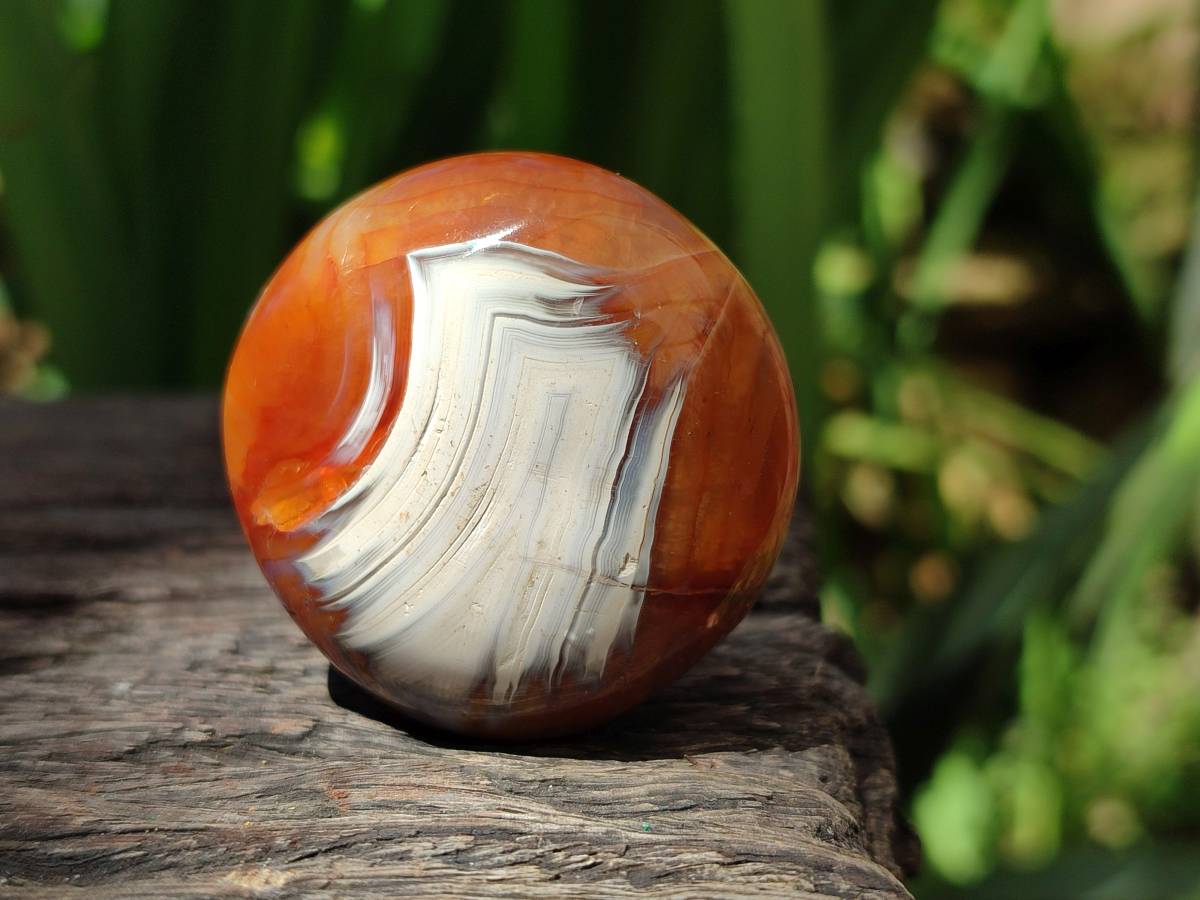 Polished Carnelian Agate Gemstone Galets x 43 From Madagascar - Toprock Gemstones and Minerals 