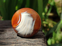 Polished Carnelian Agate Gemstone Galets x 43 From Madagascar