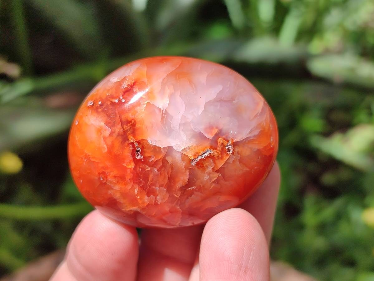Polished Carnelian Agate Gemstone Galets x 43 From Madagascar - Toprock Gemstones and Minerals 